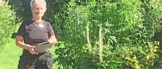 Sommarresa med Robertsfors HRF-förening
