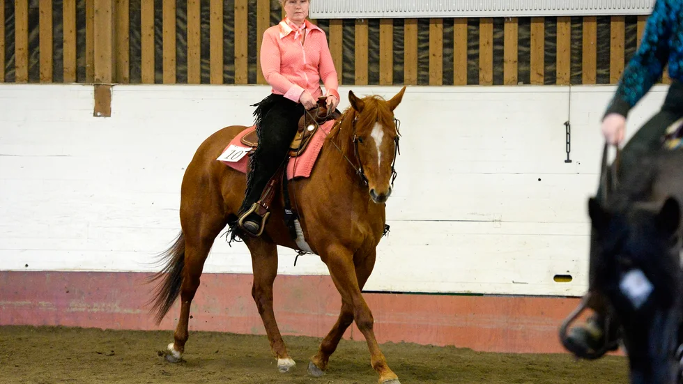 Nöjd. För första gången tävlade Rose-Marie Karlsson med sin häst CBS Wallstreet Estelle och det blev en 5:e placering i western pleasure D. Foto: Carina Kvist.