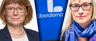 Bråket inom Liberalerna: "Är förbannad och rädd"