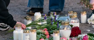 Dödade och grävde ner vän – döms till 16 år