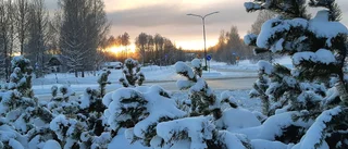 Läsarbilden: Solen börjar visa sig!