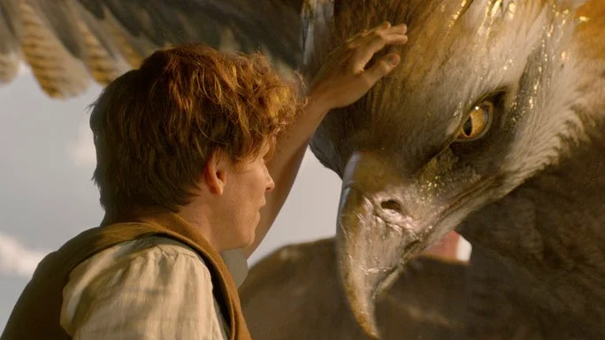 Djur. Eddie Redmayne med ett av sina husdjur. Foto: Warner Bros. Pictures.