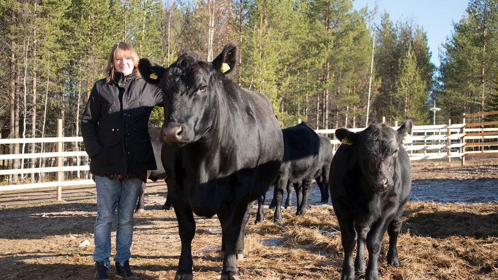 På frågan om de rekommenderar någon annan att prova bondgårdslivet så kommer svaret snabbt. ”Absolut, kör. Är det något man brinner för och tror på, så testa. Vi vet ju inte hur det går, men fungerar det inte så har vi i alla fall testat”, säger Anne.