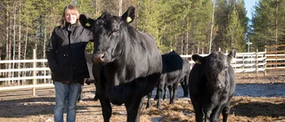 Ny bondgård startad: ”Vi hoppas på en livsstilsförändring”