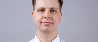 Den socialdemokratiska staten 