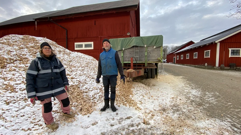 Granbarkborrar dödar skog för Carina och Anders Jansson. Nu har de börjat göra flis, som kan användas som marktäckare av den skadade skogen.