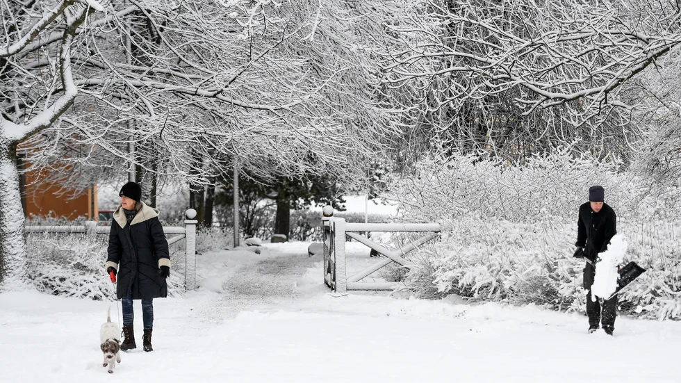 Snöprognosen inför julen ser gynnsam ut på många håll. Arkivbild.