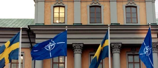 Därför vore ett svenskt NATO-medlemskap fel steg att ta