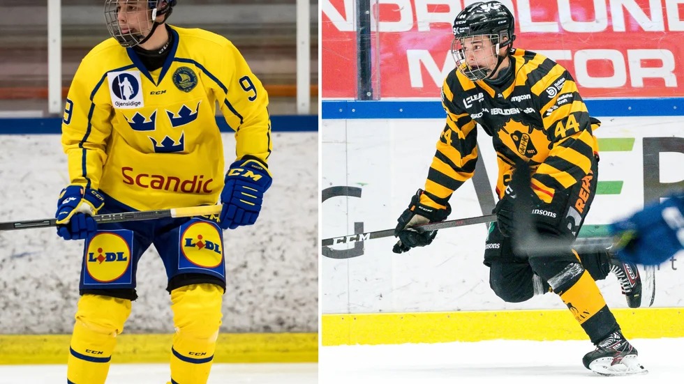 Elias Salomonsson är högt rankad i en aktad rankinglista inför NHL-draften.