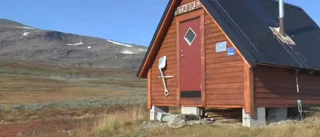TV: Här räddas hundvalpen i sista stund