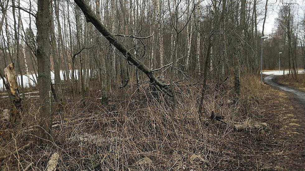 Foto: Privat