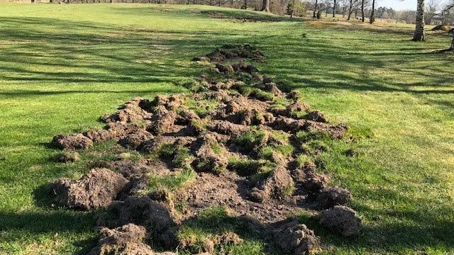 På tolvans fairway har det kalasats under påsken.