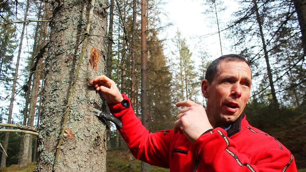 Det rörliga friluftslivet kan märka av vägarbetet, säger Torbjörn Elofson, avdelningschef för skog och mark vid Holmen.