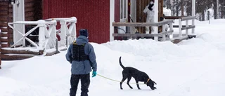 Mordförsök på camping i Luleå – en vårdas på sjukhus efter knivdåd