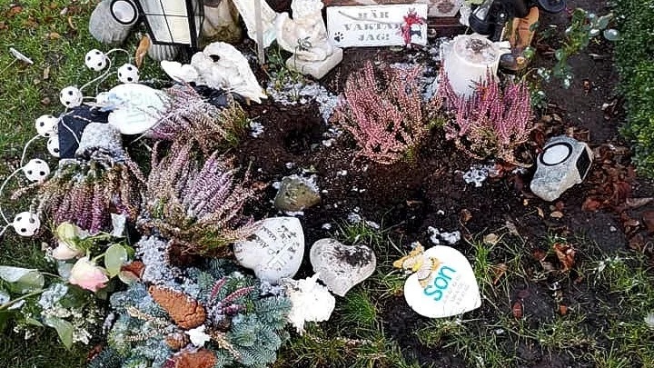 Saker var sönderslagna och krinspridda