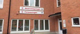 Dog efter knäproblem