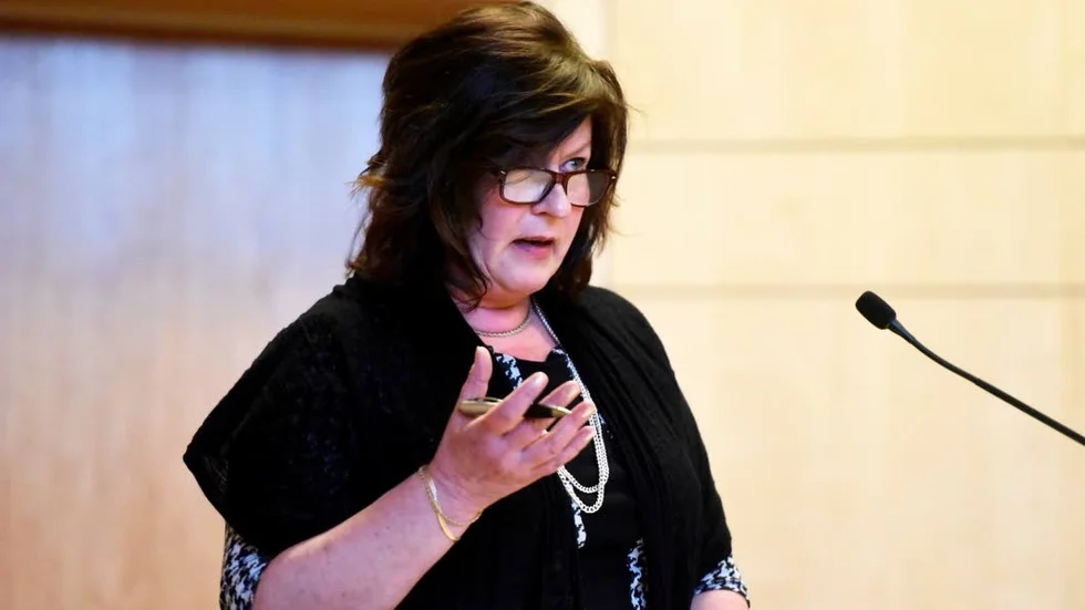 Avveckla. Riitta Leiviskä Widlund (S), drev tillsammans med MP och V igenom att avveckla LOV inom hemtjänst.