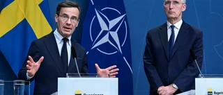 En folkomröstning skulle inte ha hjälpt NATO-frågan