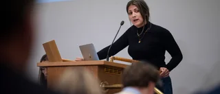 Moraes (MP): Linköping behöver en varmare politik