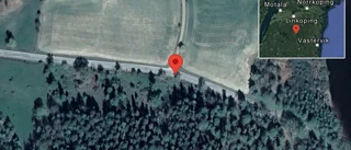 Varning för kor på vägen
