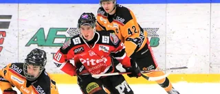 Tvingades lämna Piteå Hockey – talar ut: "Hade gärna varit kvar"