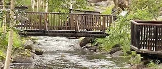 På tur till Fjällträdgården och Laxholmen