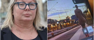 Hotet efter hackerattacken – UL-filerna kan spridas på nätet