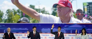 Expert: Ingen lyckades rubba Trump