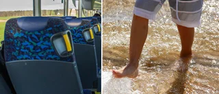 Prislappen för badbussen till Varamon – 1 210 kronor per person