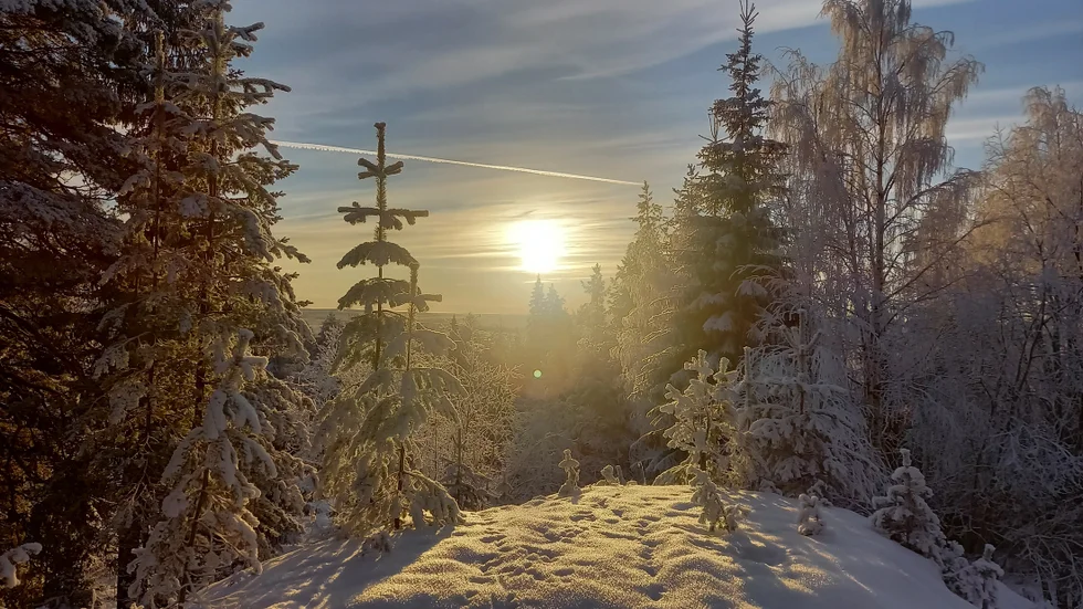 Vackert vinterlandskap.