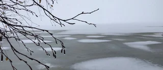 Dagens läsarbild: Vintrig bild