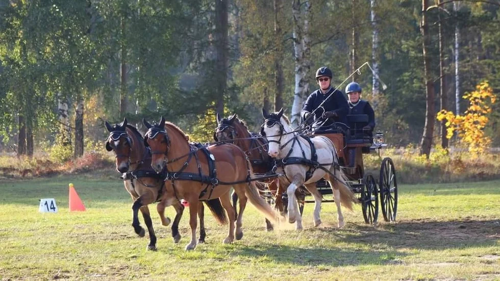 Maria Johansson och hennes fyrspann ska tävla i Nederländerna.