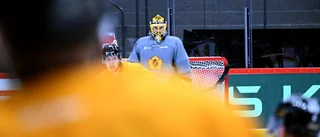 Glädjebeskedet: Skellefteå AIK-målvakten tränar för fullt
