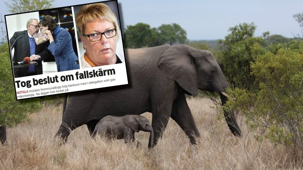 Maj Karlsson från Motala är ordförande för Kommunal Öst