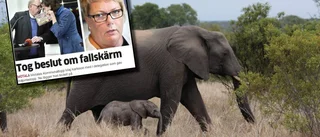 Karlsson var med till Sydafrika