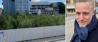 "Det finns inget alternativ till Vi Invests hotell"