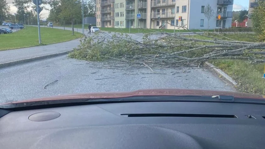 En läsare har fotat ett träd som fallit ner över Stenbrovägen i Brandkärr.