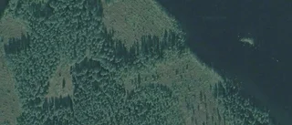 Nya ägaren ärver marken på Haukijärvi 110 i Lappträsk