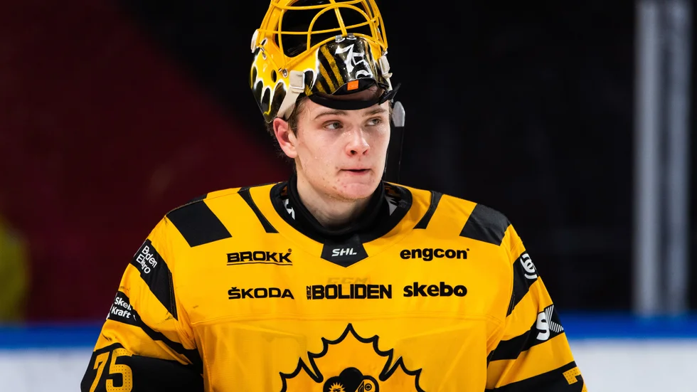 Arvid Söderblom i Skellefteå AIK-tröjan säsongen 2020/2021.
