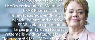 Länsstyrelsen fick mer pengar – kan ändå bli bromskloss