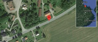 Fallna träd skapar problem i trafiken på väg 780