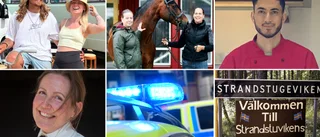 Åtta lästips för hängmattan – heta nyheter och sköna reportage