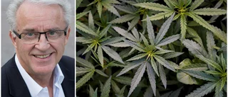 Droglegalisering farlig – ökar risken för våld och psykisk ohälsa