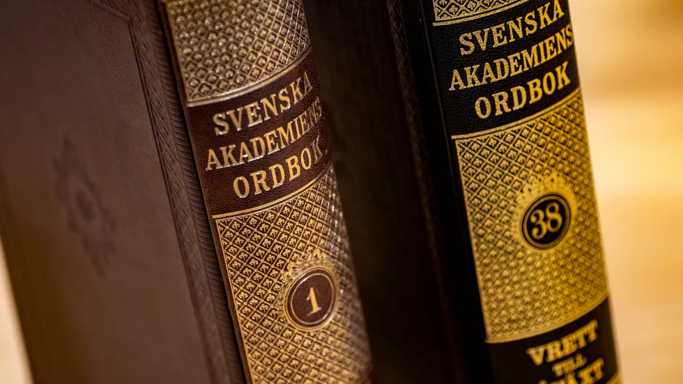 Skulle kunna förenklas, tycker skribenten.