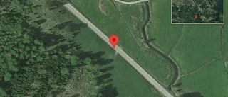 Nedfallna träd påverkar trafiken på väg 910