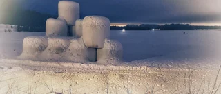 Läsarbild: Vintermarshmallows 