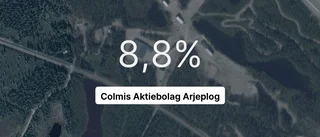 Så gick det för Colmis AB senaste året