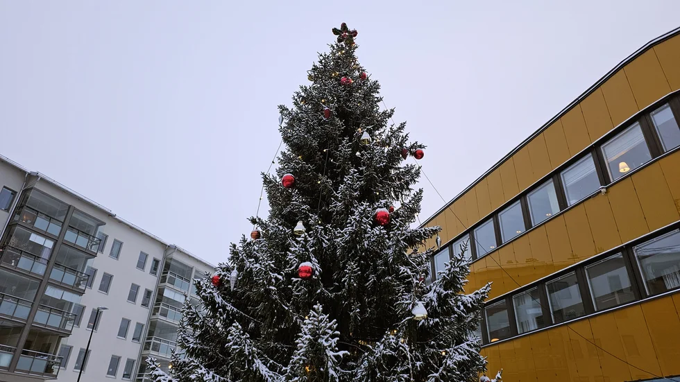 Den stora granen har gjort sitt för den här gången.