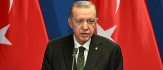 Turkiet röstar om Sveriges Natoansökan i veckan