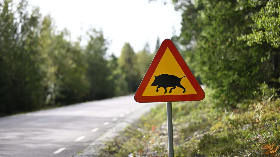 Kommunen uppger att man kommer att vara i stabsläge i minst en vecka framöver till den 18 september. Arkivbild.